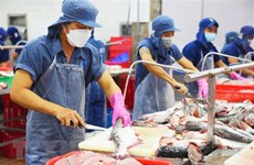 Tra fish exports post strongest growth among fishery products