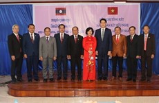 Vietnam-Laos friendship year experiences myriad activities across fields