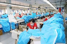 CPTPP still holds untapped potential for Vietnamese businesses