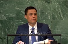 Vietnam calls on ASEAN to enhance coordination at UN