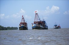 Kien Giang tackles IUU shortcomings under EC recommendations