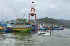 Vietnam stresses importance of ASEAN’s centrality in maritime cooperation