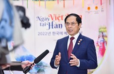 Vietnam - RoK relations to flourish even more across all fields: minister