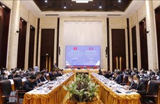 Vietnamese, Lao parties hold ninth theoretical workshop