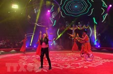  2022 International Circus Festival wraps up in Hanoi