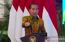 60% of electric vehicles globally to depend on made-in-Indonesia batteries: President 