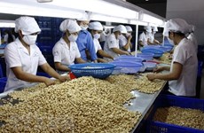Conference discusses cashew trade with Africa