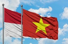 Vietnam wants to further develop strategic partnership with Indonesia: NA leader