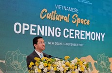 Forum promotes Vietnam’s tourism in India  