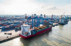 Dinh Vu port allowed to receive big vessels