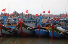 Quang Ngai records improvement in fishermen’s awareness of IUU fishing