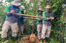 Quang Tri: 119kg wartime bomb successfully handled