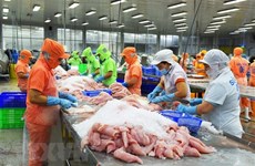 Over 90% of Tra fish on sale in US are from Vietnam