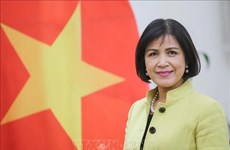 Vietnam attends Effective Development Cooperation Summit in Geneva 