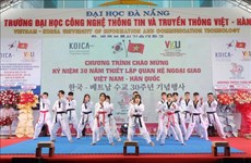 Vietnam – RoK culture exchange takes place in Da Nang 