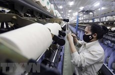 Russian expert: Vietnamese economy stable in 2022