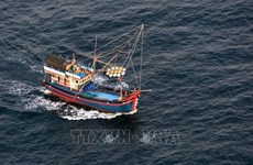 IUU fishing combat requires joint efforts of all coastal localities