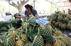 Thailand to establish “pineapple metropolis” in 2023