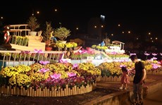 HCM City to host floating flower festival to celebrate Tet