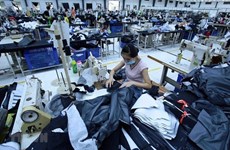  Vietnam’s textile, garment exports to Indonesia increasing: TexPro