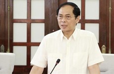 Politburo, Secretariat impose disciplinary measures on some officials, Party members 