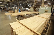 Vietnam strives to be global processing centre of export timber