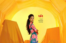 Famous designer's ao dai collection celebrates 'Tet'