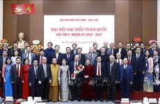 Vietnam-Thailand friendship association elects new chairman 