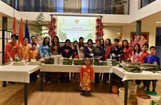  Young OVs in the Netherlands celebrate traditional Lunar New Year