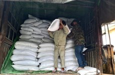 Rice earmarked for seven localities for Tet  