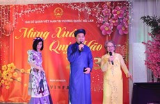 Overseas Vietnamese in Netherlands celebrate the Tet festival