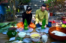Foreign ambassadors extend Lunar New Year wishes to Vietnam