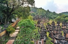 Centuries-old Bo Da pagoda stuns pilgrims
