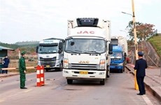 Quang Ninh: Cross-border trading with China resumed after Tet