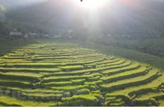 Pu Luong – a paradise amidst jungle for travellers on budget