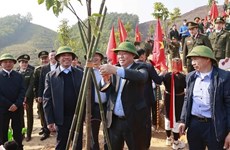 NA leader launches emulation drive, tree planting festival in Tuyen Quang