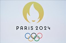 Vietnamese athletes to receive 1 mln USD for Paris Olympic gold