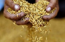 Thailand’s 2022 rice exports beat target
