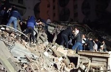 Vietnamese embassy contacts Turkish authorities following devastating earthquake