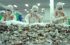 Bac Lieu eyes 1 billion USD in shrimp exports