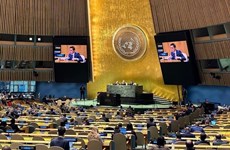 Vietnam reaffirms support for UN Secretary-General’s role, efforts