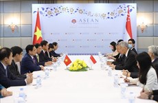 Vietnam - Singapore ties contribute to cohesion in ASEAN: expert