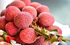 Vietnamese fruits hold lion’s share in Australian market  