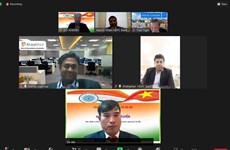 Webinar held to help Vietnamese firms increase presence in India