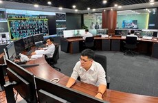 Ho Chi Minh City’s power sector among world’s 50 smart grid index