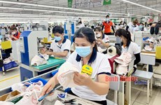 Binh Phuoc moves to improve FDI capital quality, effectiveness