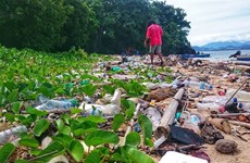 Indonesia, Germany jointly tackle marine litter