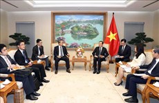 Deputy PM urges early signing of new-generation ODA deal between Vietnam, Japan