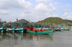 Vietnam issues plan of action, strives to put end to IUU fishing
