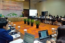 Vietnam speeds up projects supporting green growth to achieve carbon neutrality